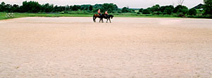 Stoneridge outdoor reining pen