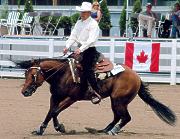 Tim Reining in Ontario