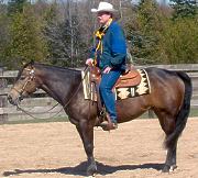 Tim giving Reining Clinic