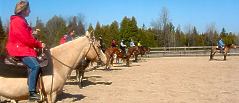 Clinic Reining